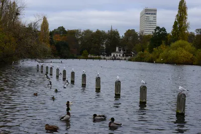 DSC_0532 (Large).JPG